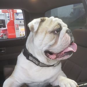 Meet your Posher, Mj